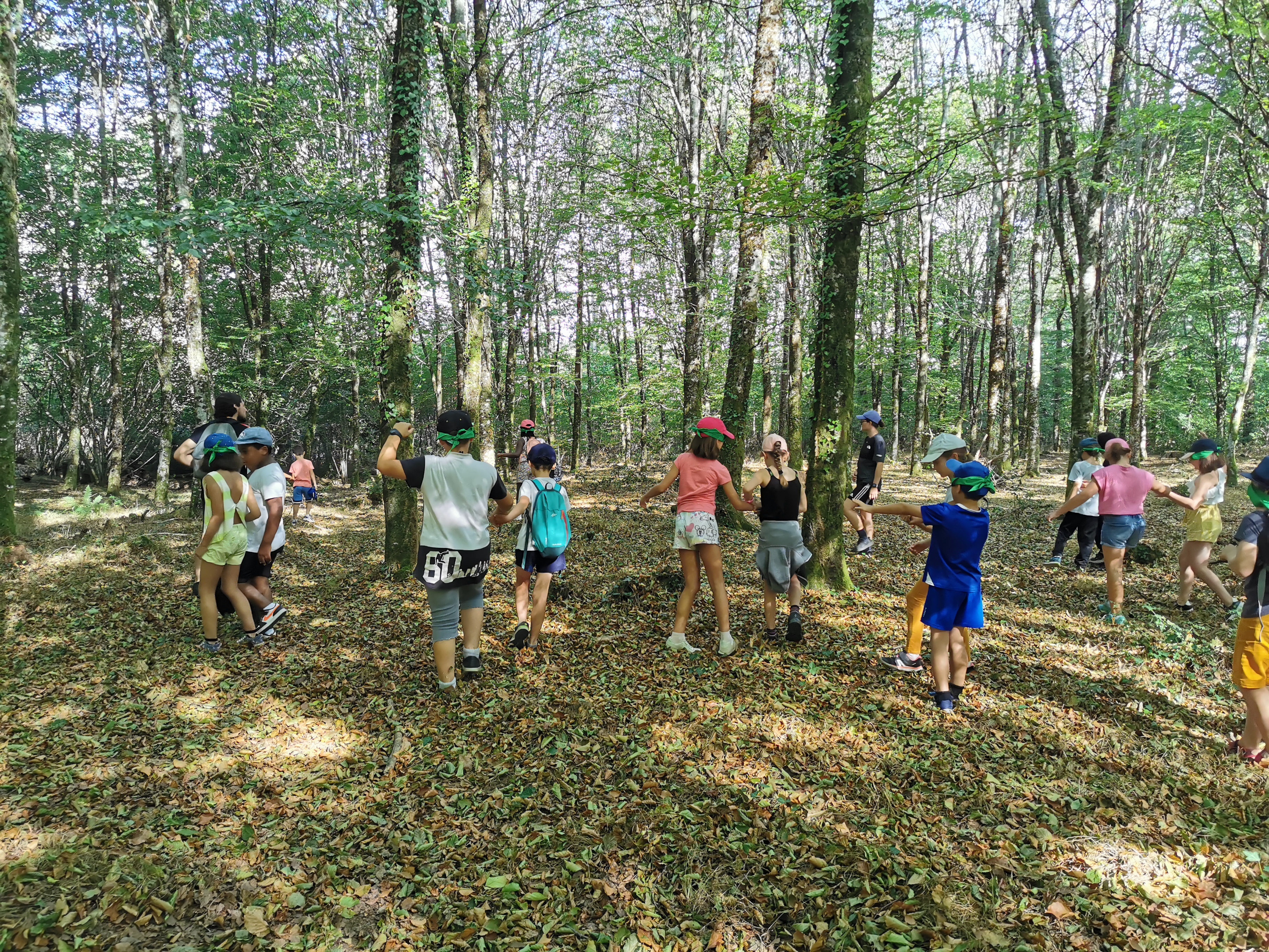 Sortie avec la maison de la nature - Forêt sensorielle