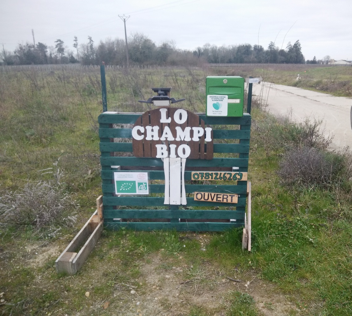 Lo Champi Bio