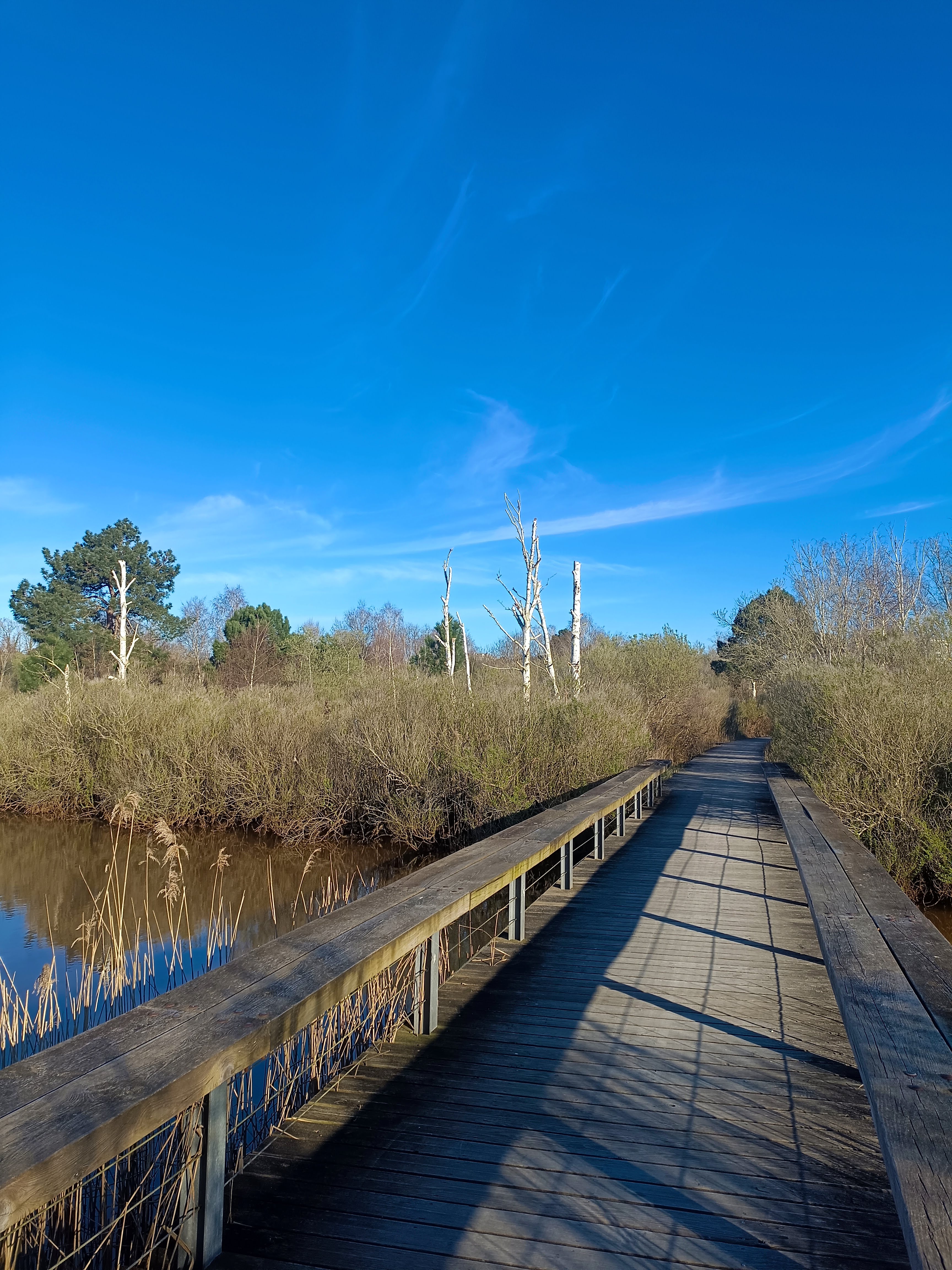 Terra Aventura La Teste de Buch : « Sauvons les Prés Salés ! »