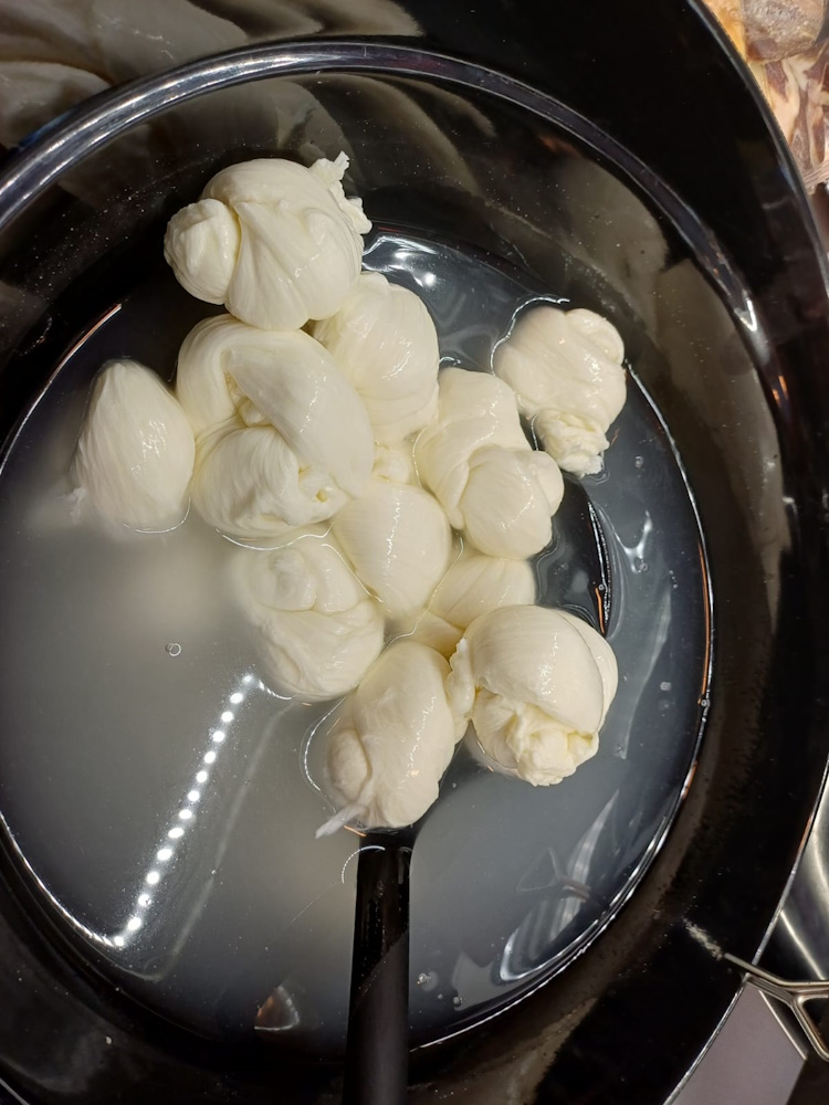 Mozzarella di francesco