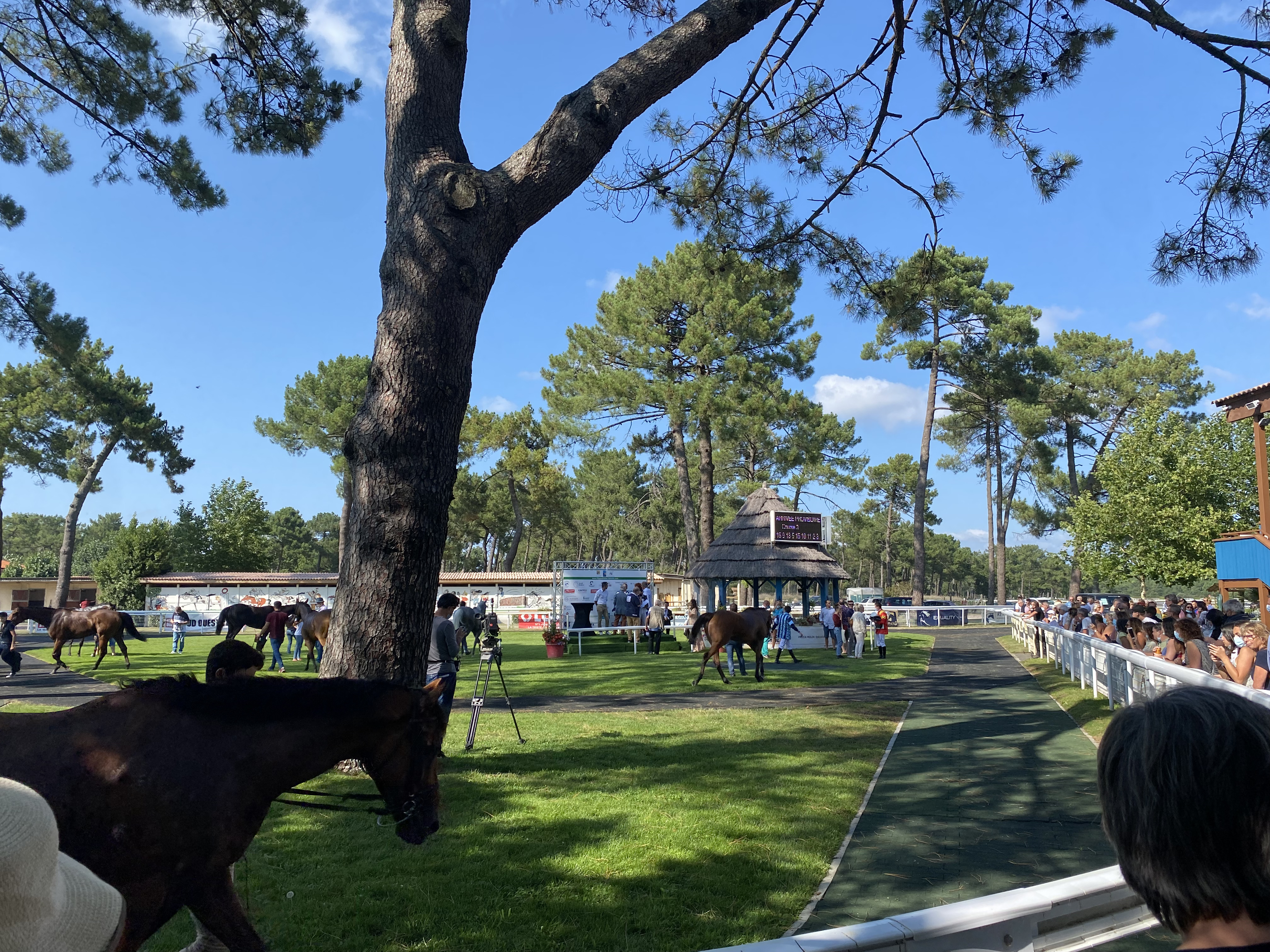 Visite privilège à l&rsquo;hippodrome, un jour de courses