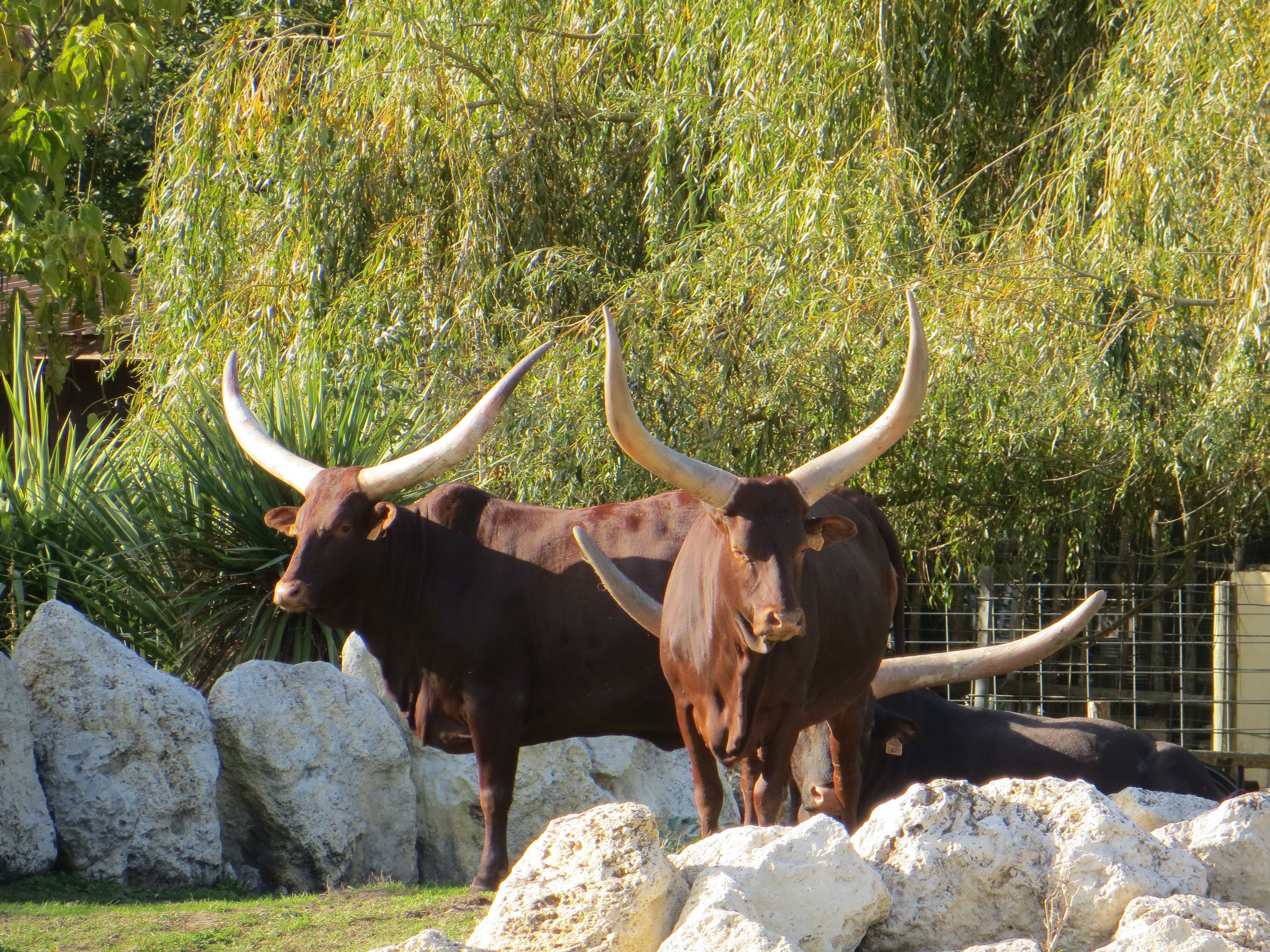 La Ferme Exotique