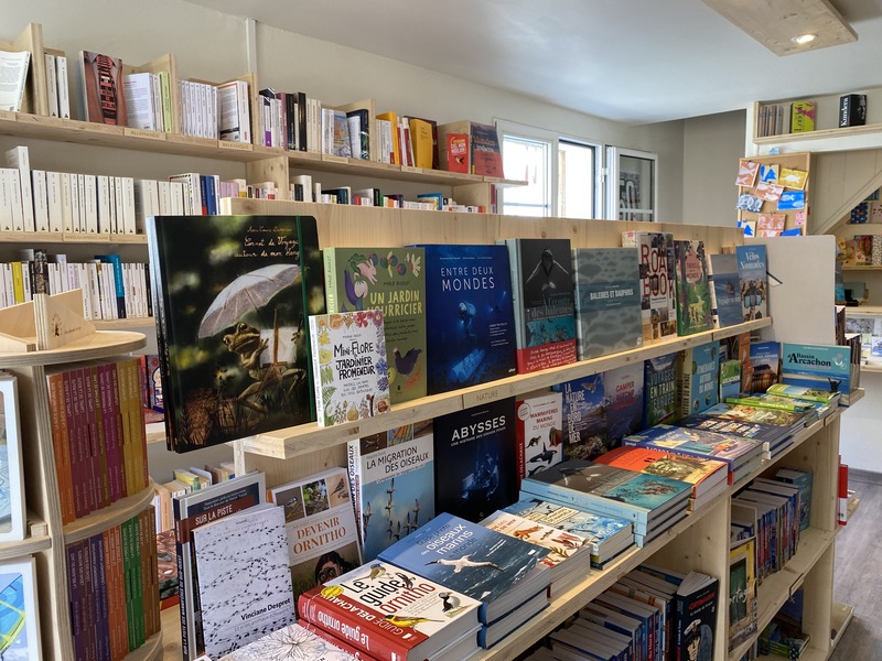 librairie Dans le Sillage de Sindbad