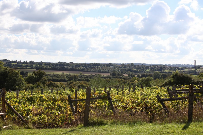 La Côte-Belet