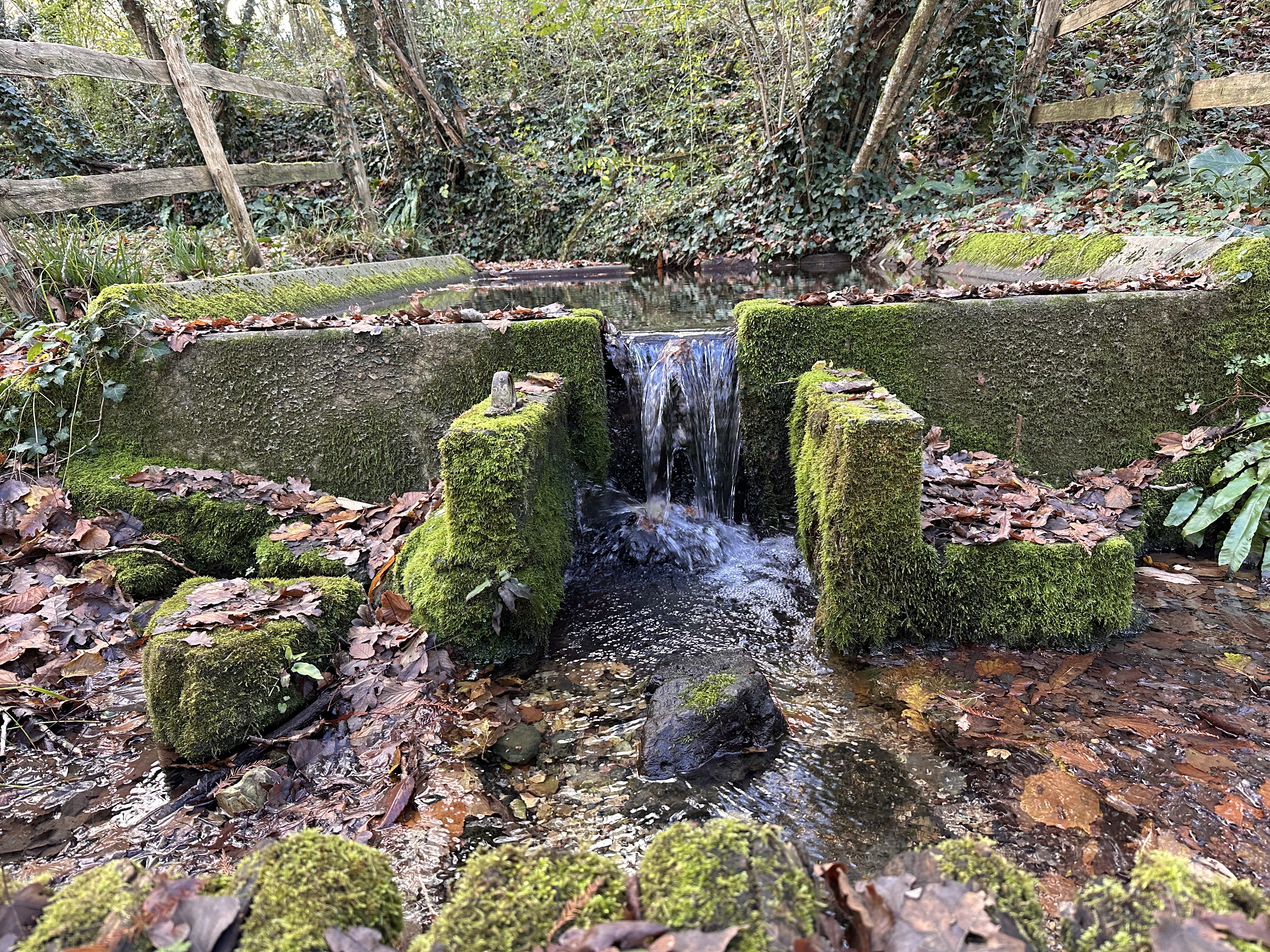 ENS -  Les sources de la Sèvre Niortaise