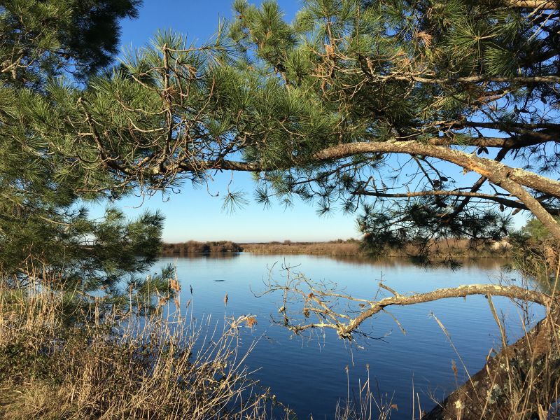 Christel Gomez - Voyage intérieur en pleine nature