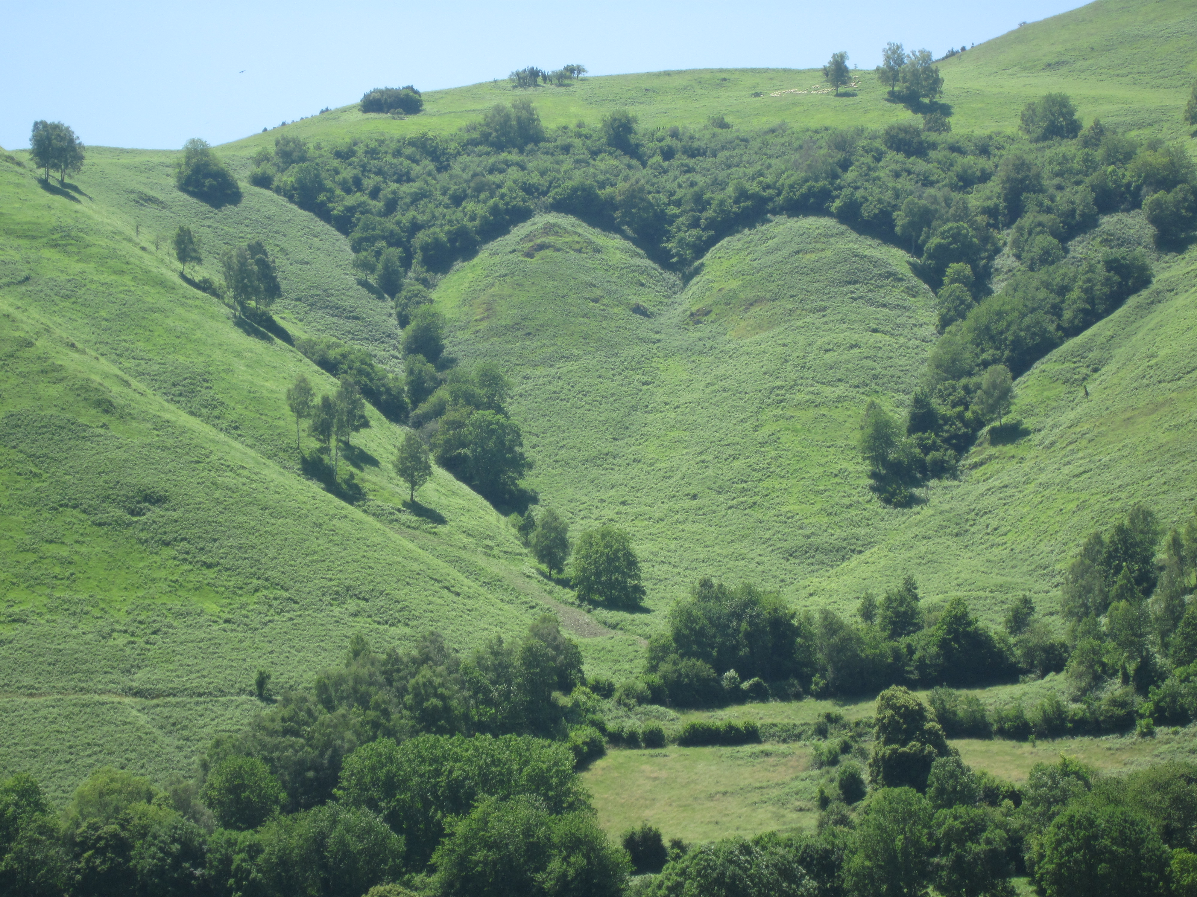Les ruchers d'Hélène