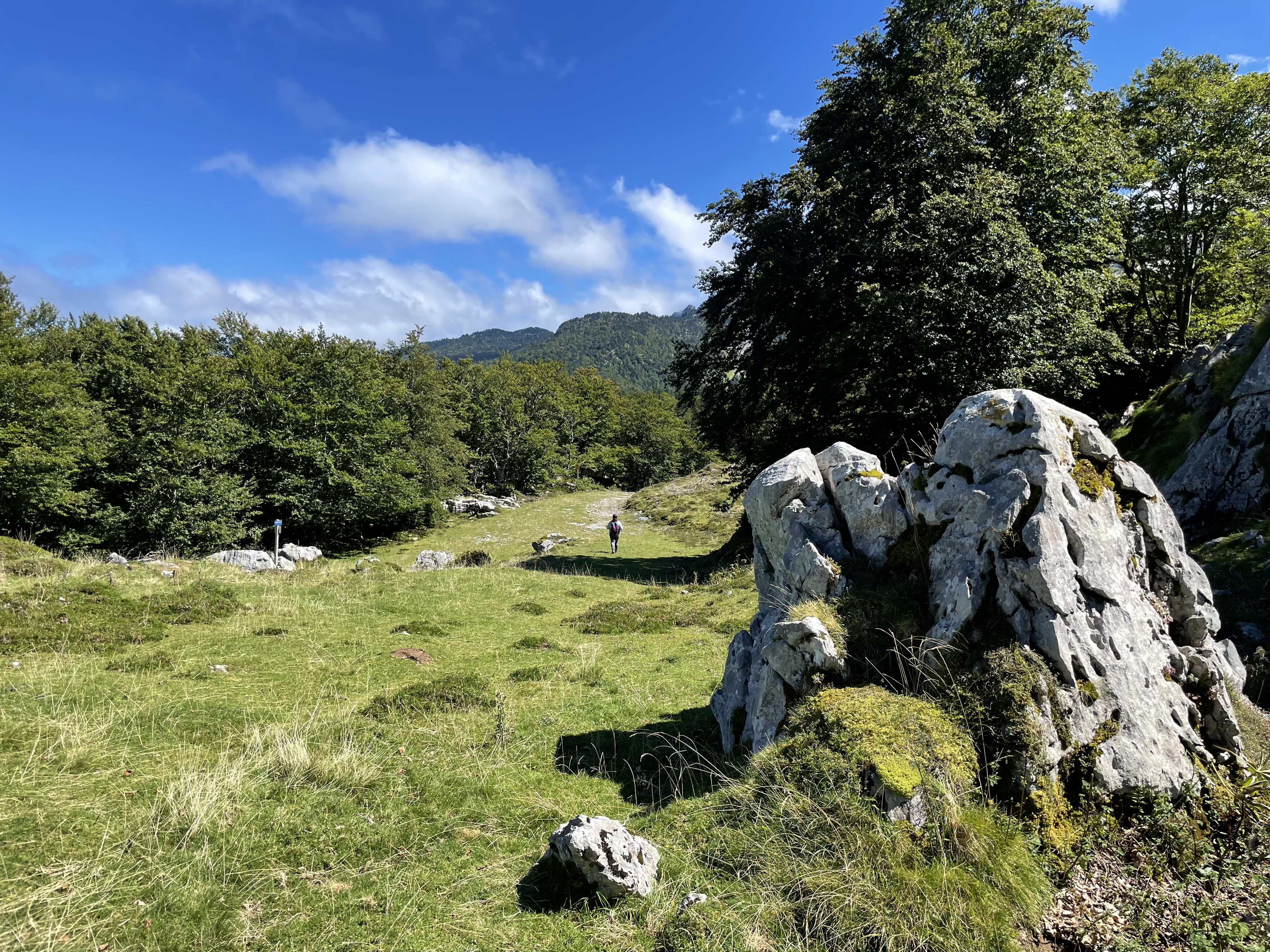 Espace nordique de La Pierre Saint-Martin en été