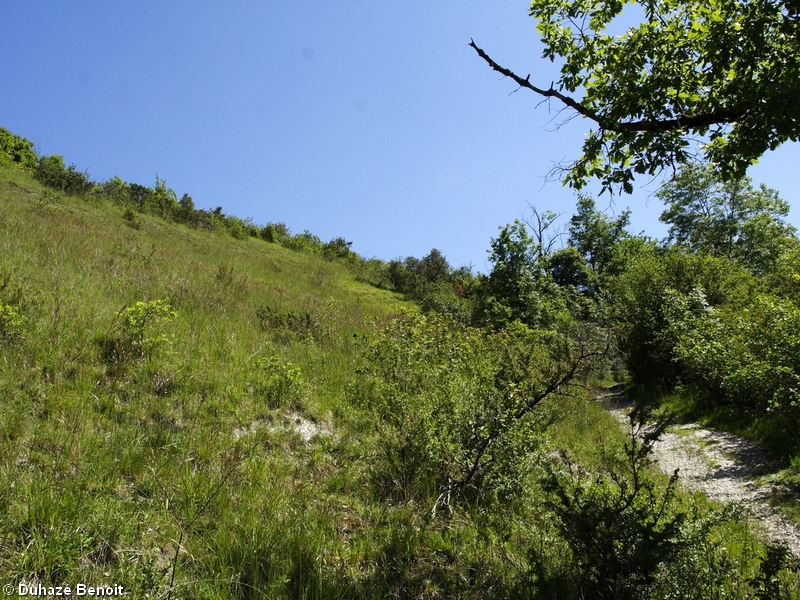 Les Pelouses Sèches