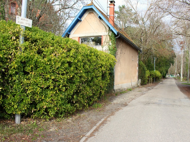 Allée Albert Pitres