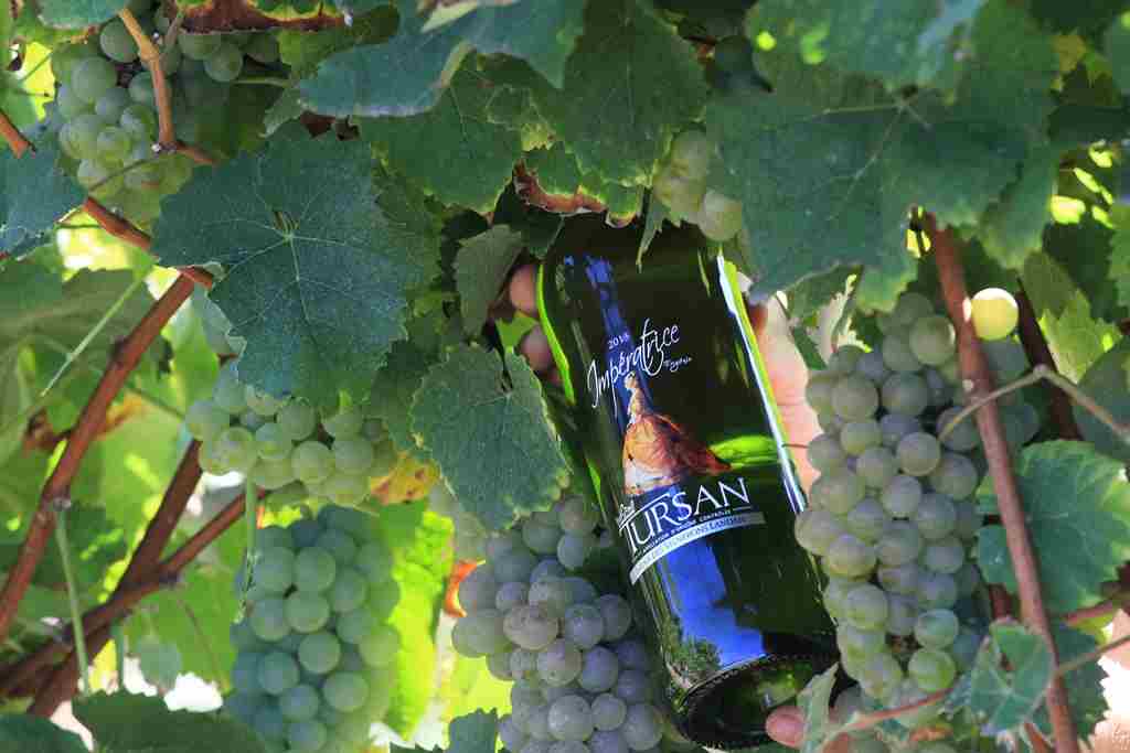 Cave "Deux fois Vin" - photo 4