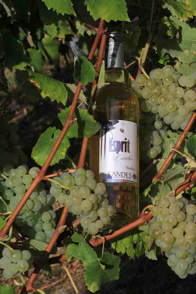 Cave "Deux fois Vin"