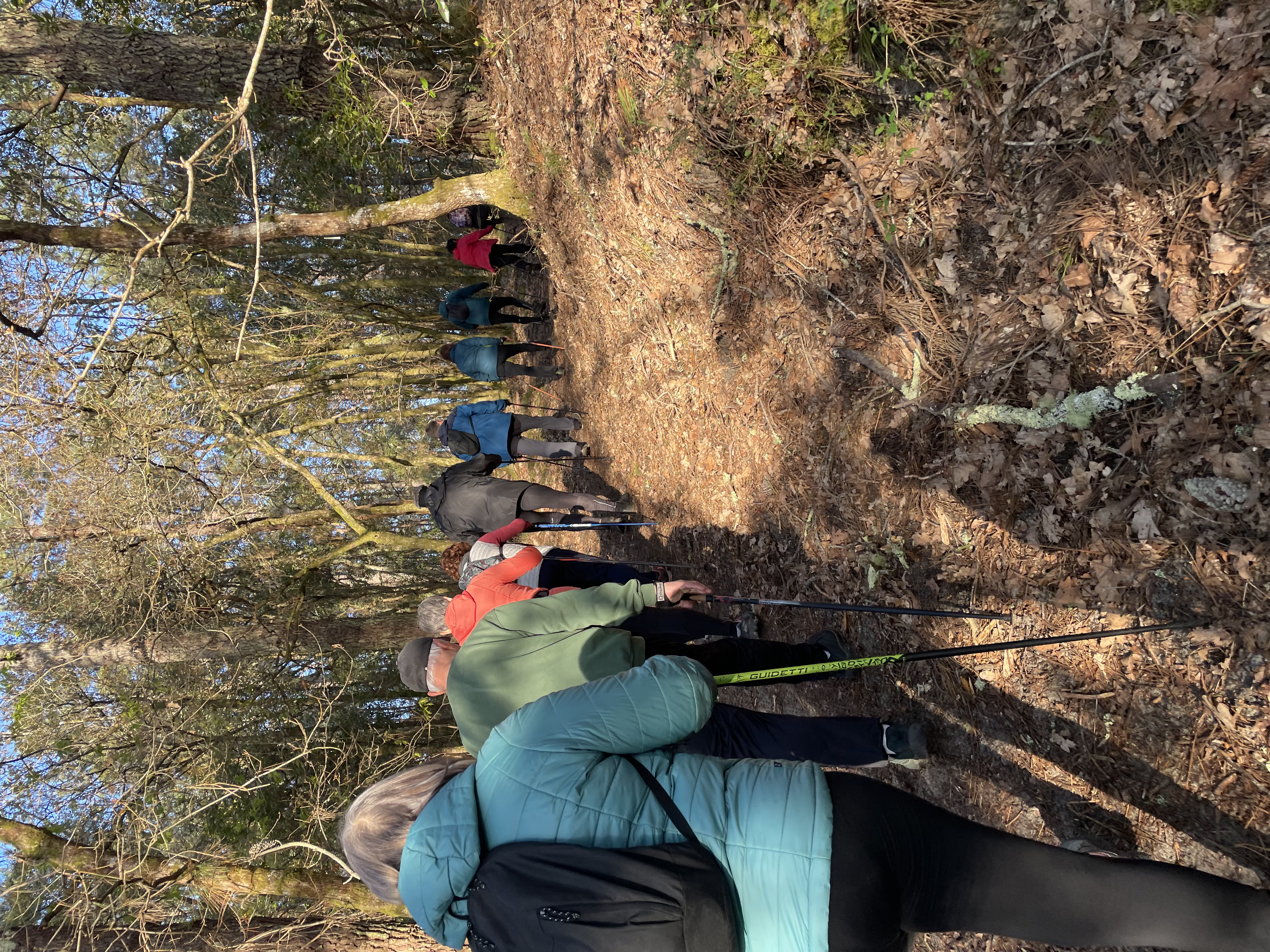 Découverte gratuite de marche nordique