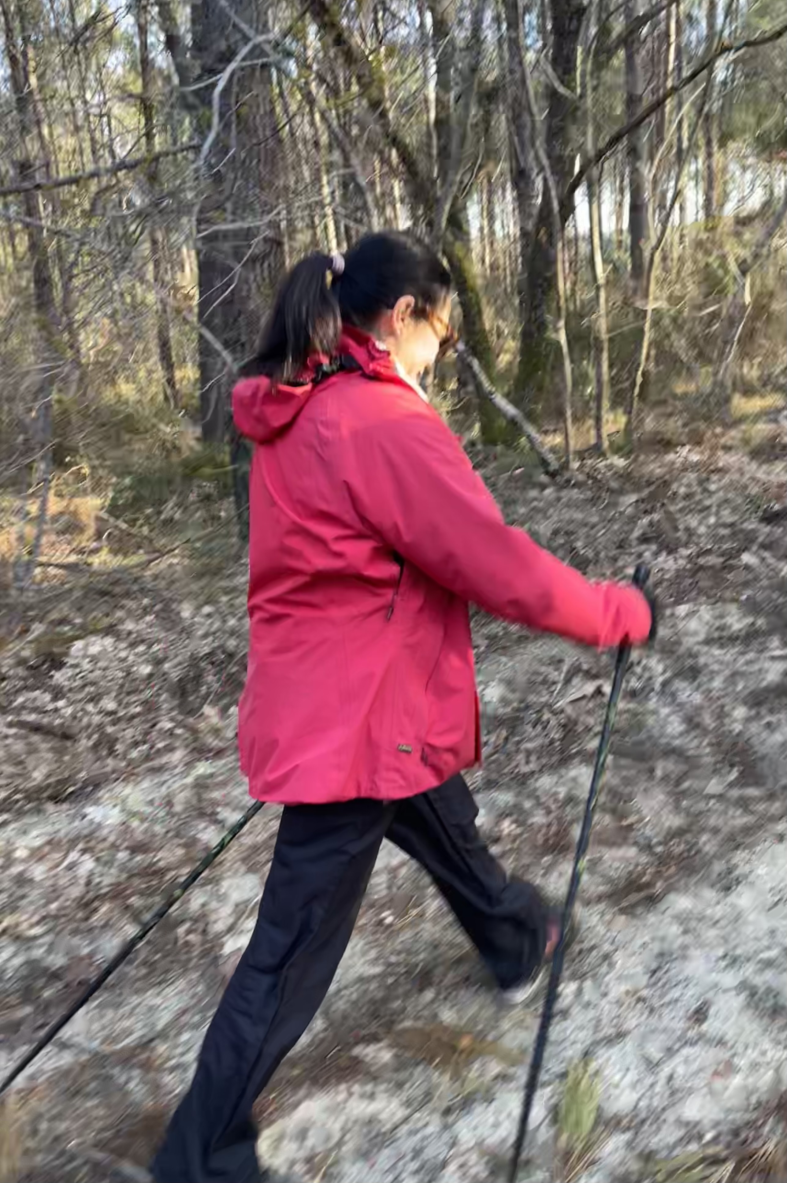 découverte gratuite de marche nordique