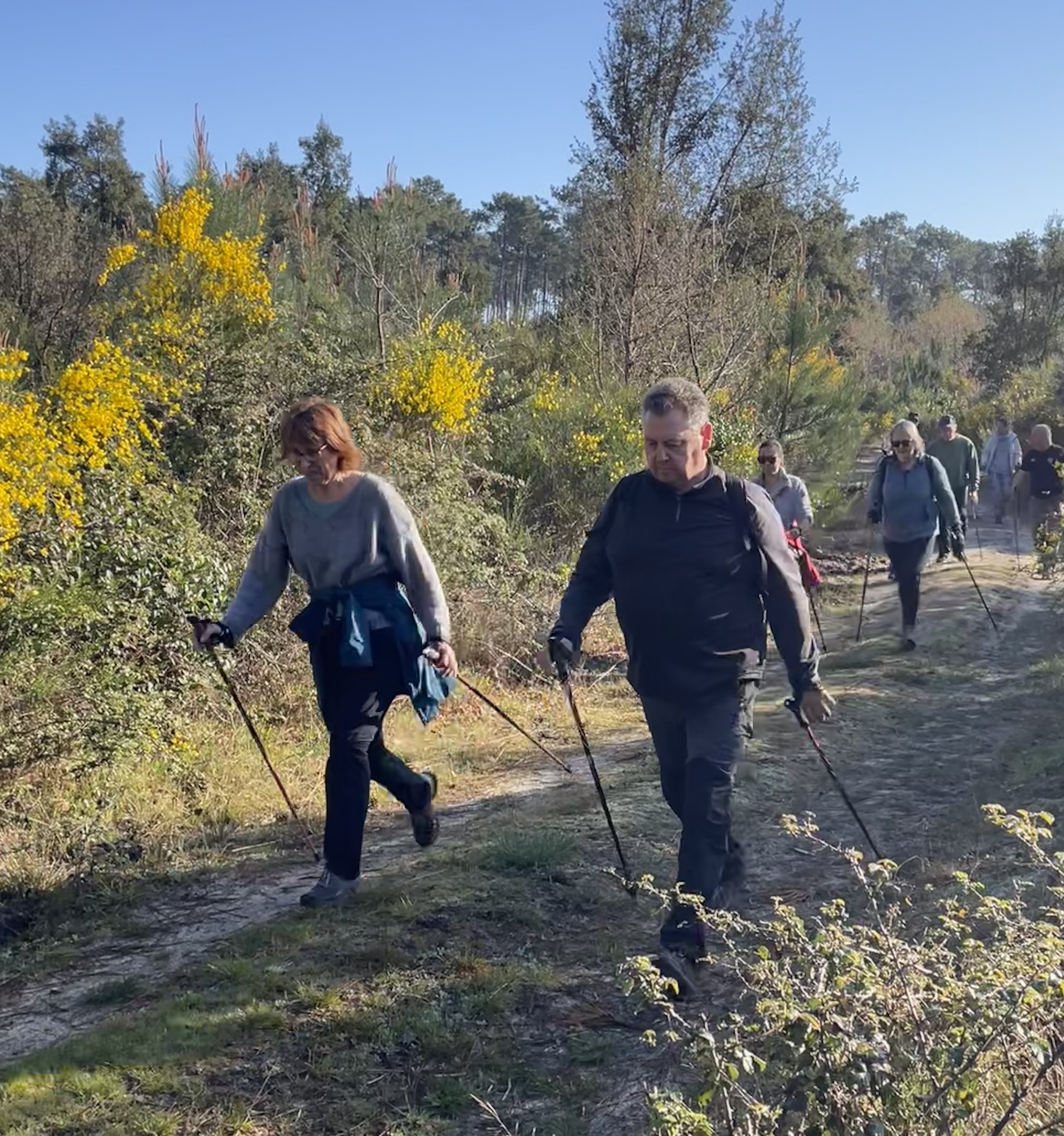 Découverte gratuite de la marche nordique