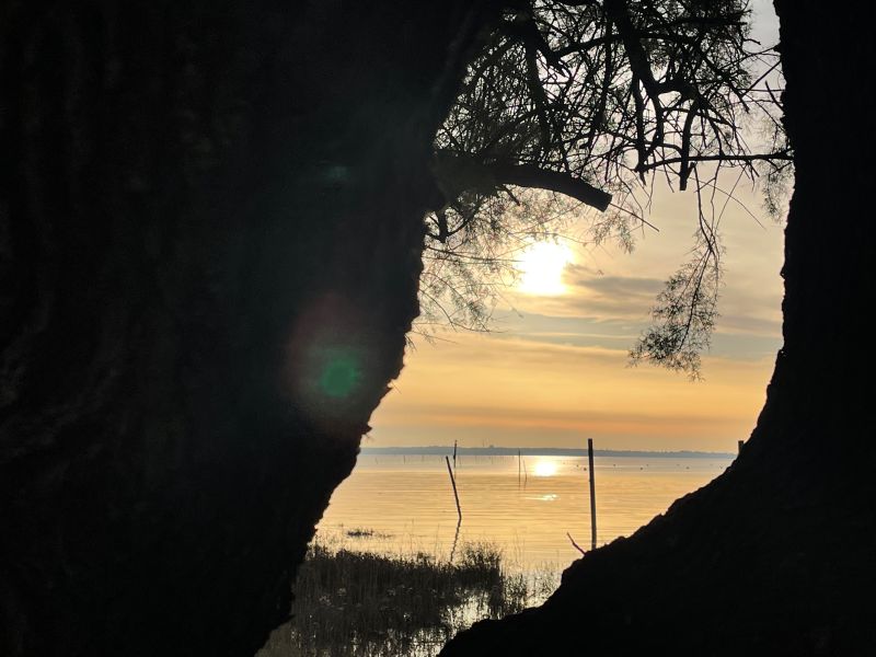 Christel Gomez - Voyage intérieur en pleine nature