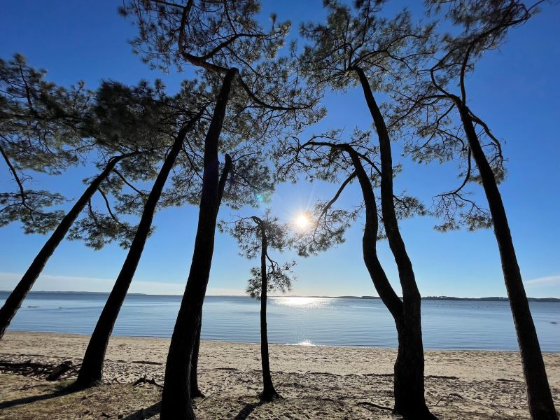 Christel Gomez - Voyage intérieur en pleine nature - photo 3