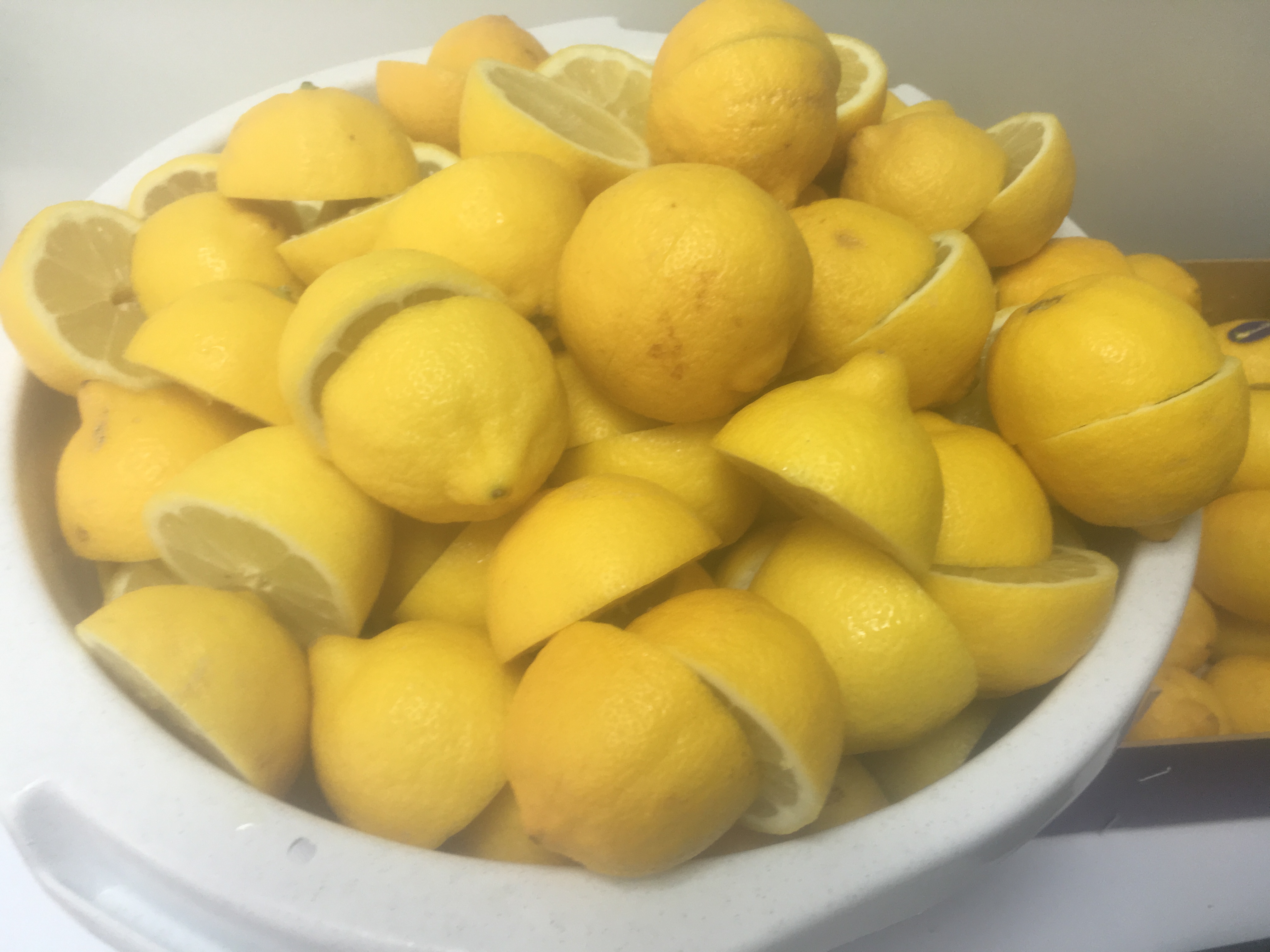 Salon et boutique de la Glace, Carcans - photo 5