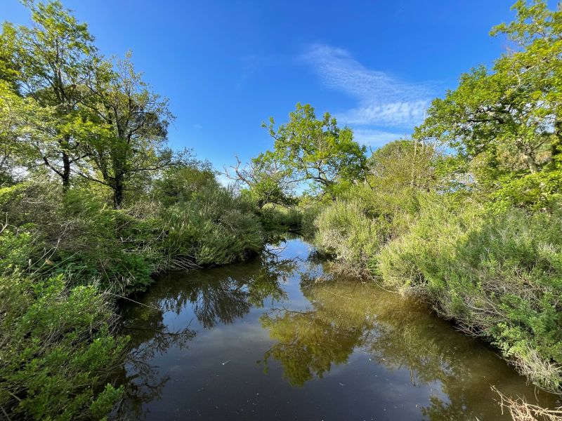 Christel Gomez - Voyage intérieur en pleine nature - photo 2