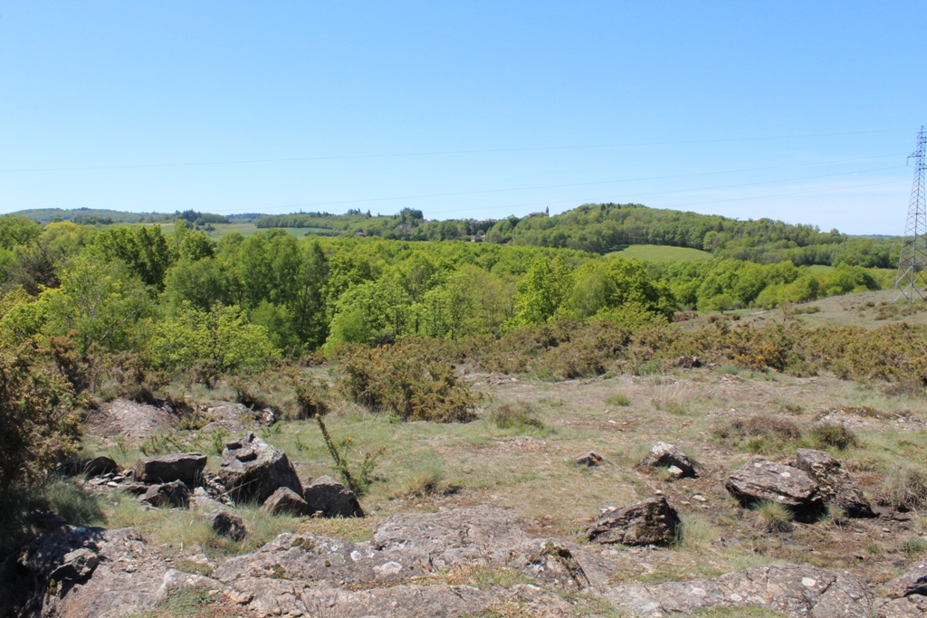 Lande de Saint-Laurent