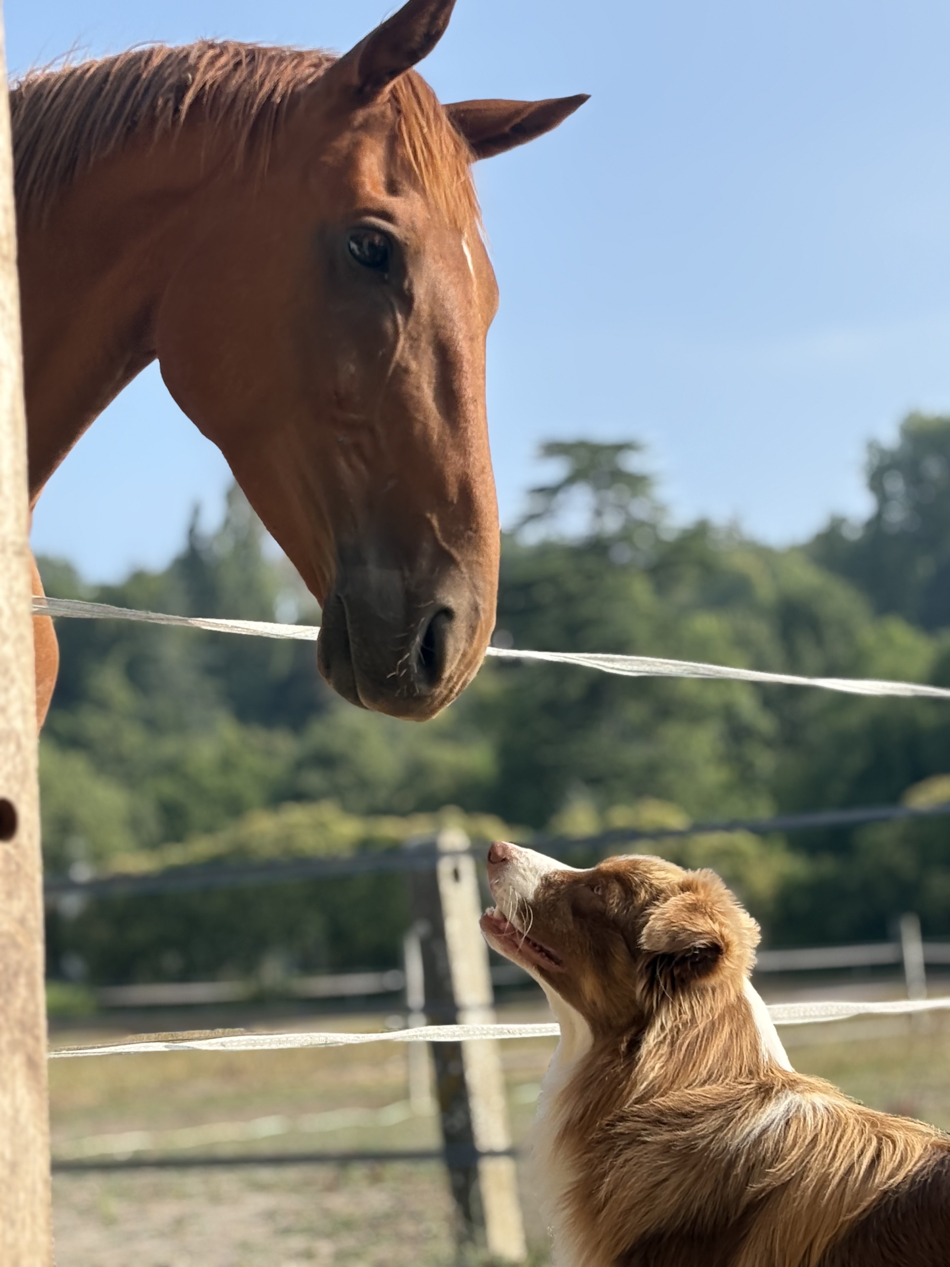 Ferme pédagogique Ensemble à la Ferme