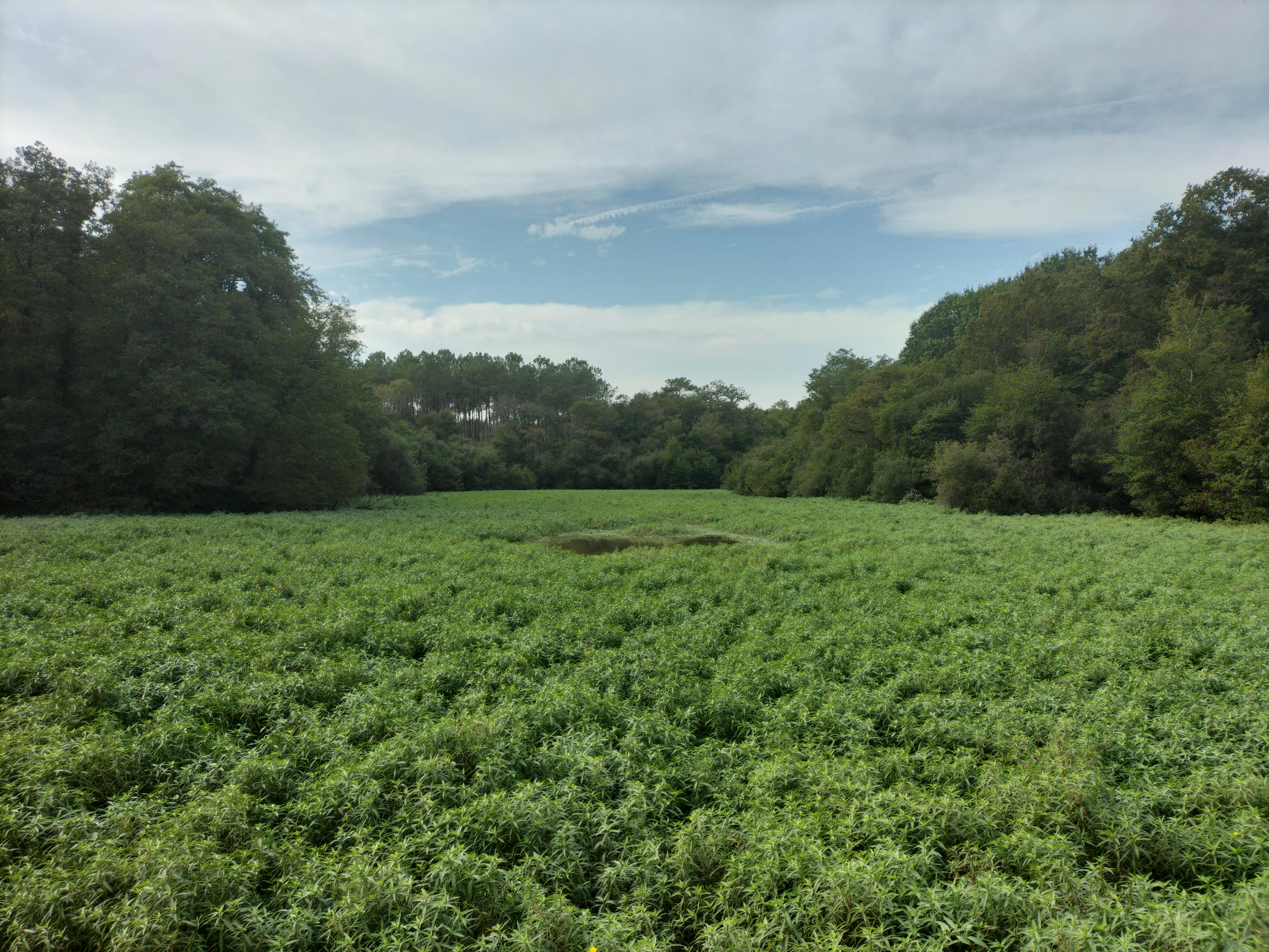Sentier découverte du domaine de Garanx