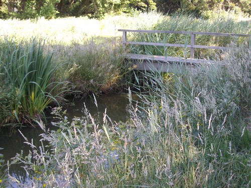 Etang de Moïsan