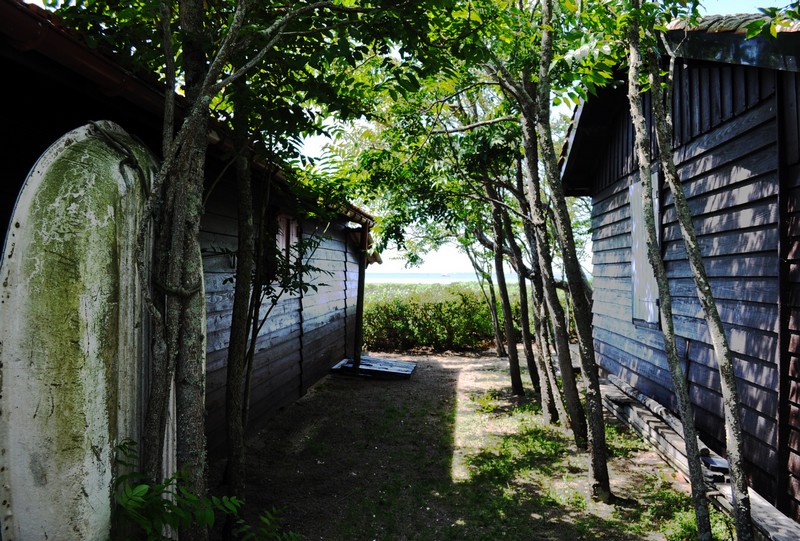 L'Ile aux Oiseaux