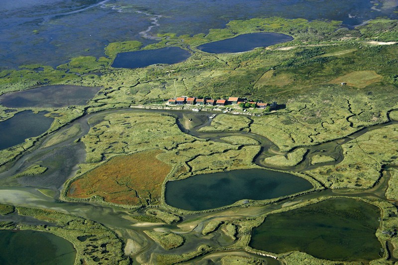 L'Ile aux Oiseaux