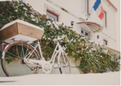 Exposition photos Elodie Lafitte