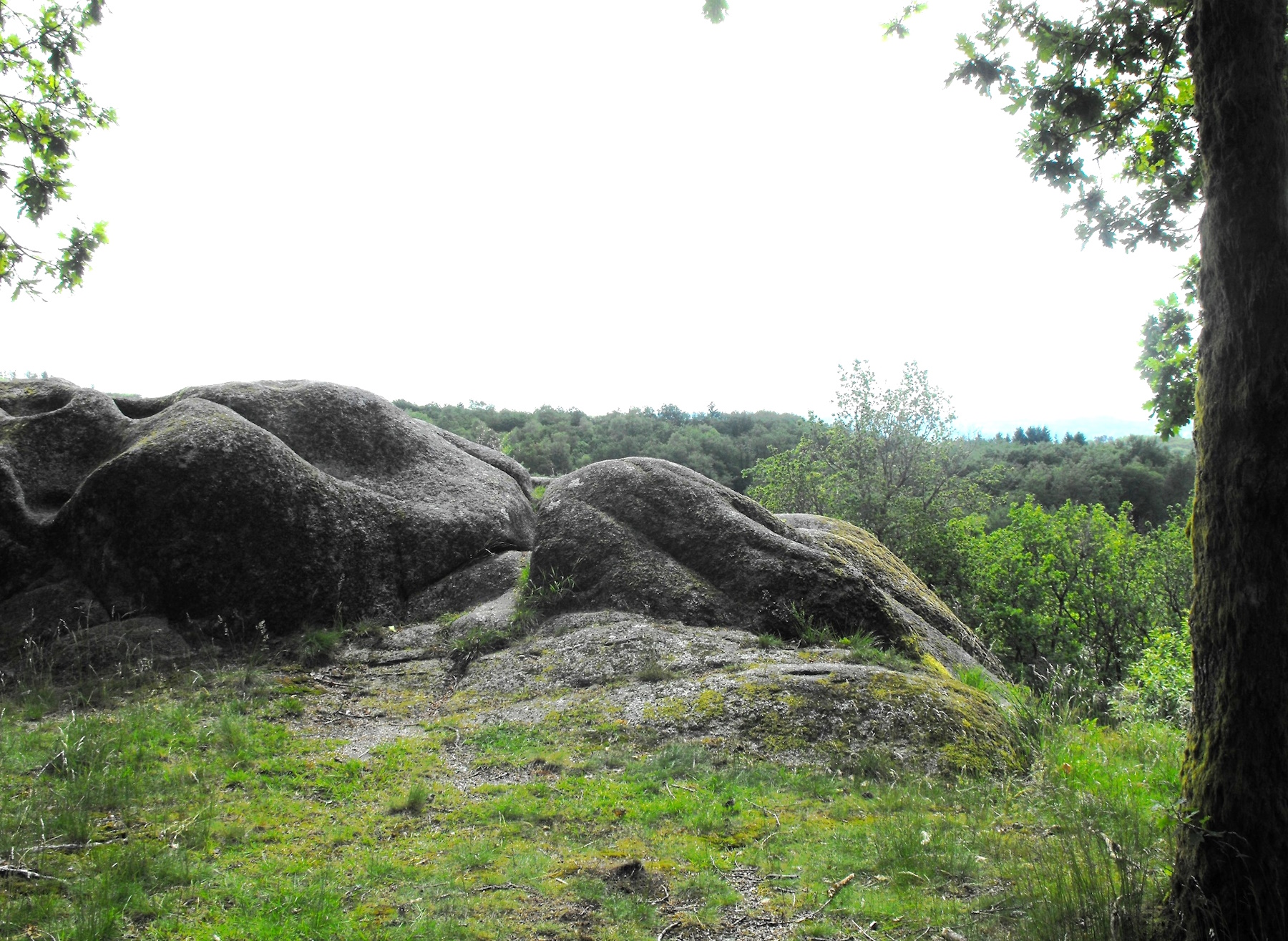 Point de vue - Le Puy des Roches