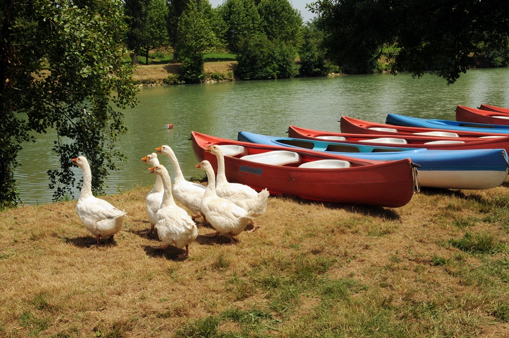 Fleuve Adour