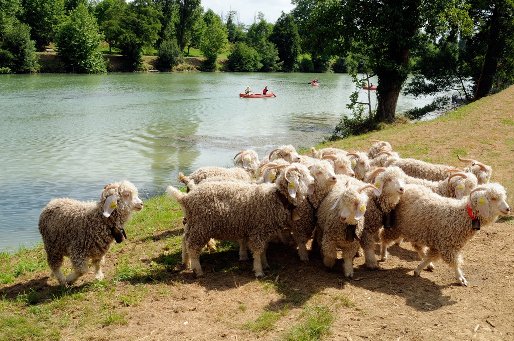 Fleuve Adour