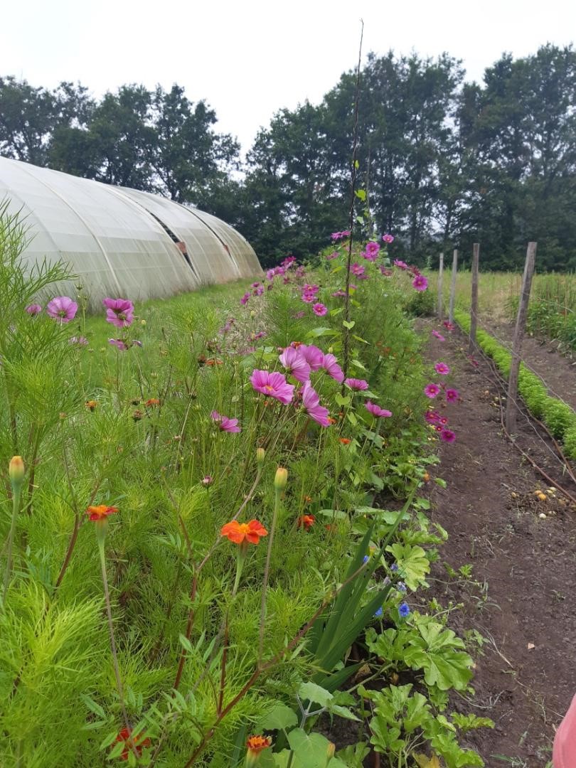 Le Jardin bio