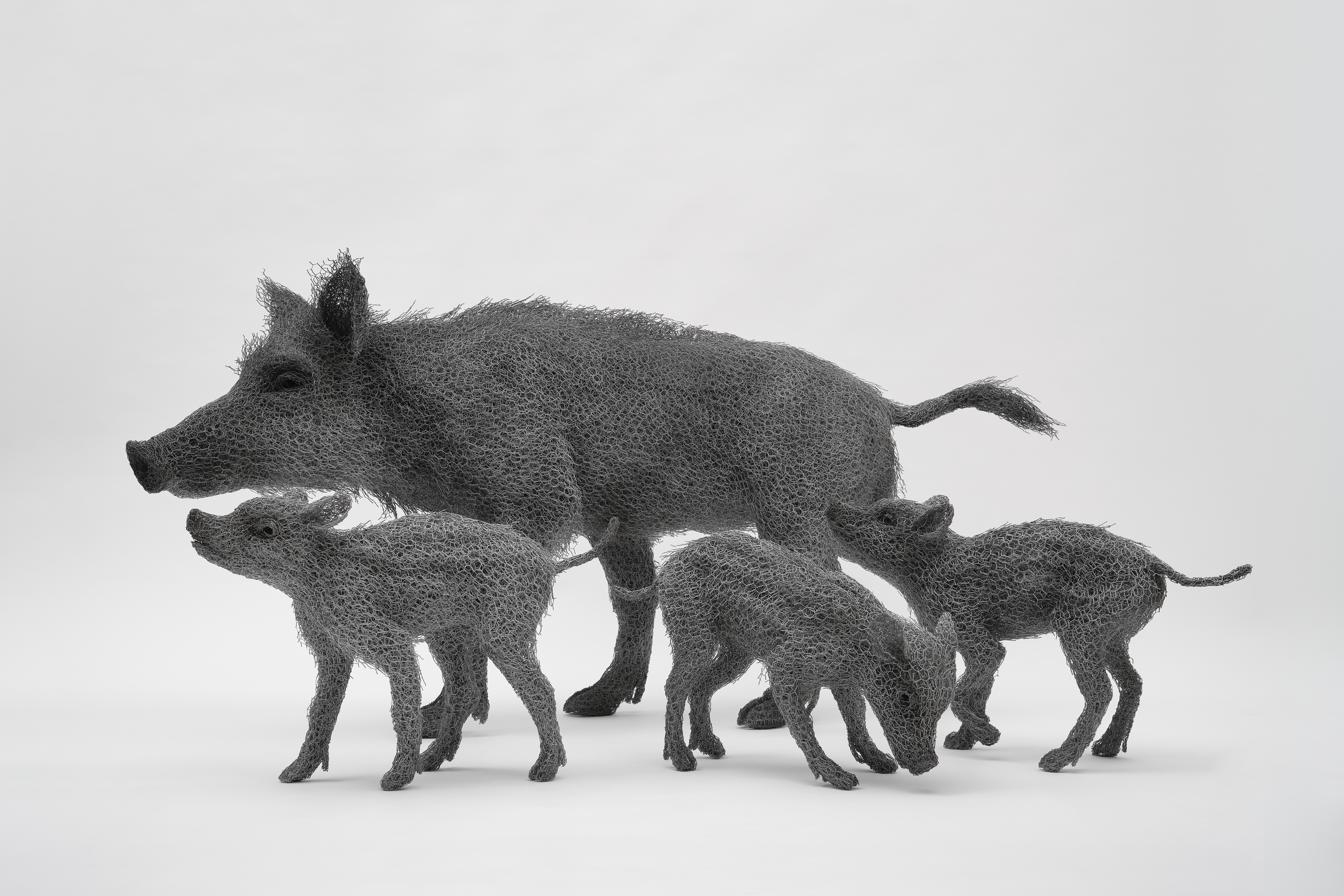 Domaine de Sédières : Exposition : Nature