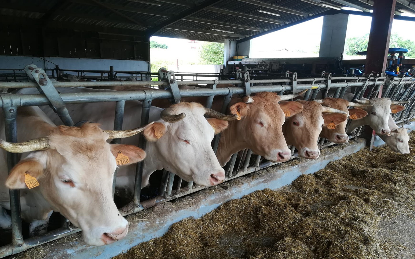 Ferme Kukusoa, charcuterie - photo 4