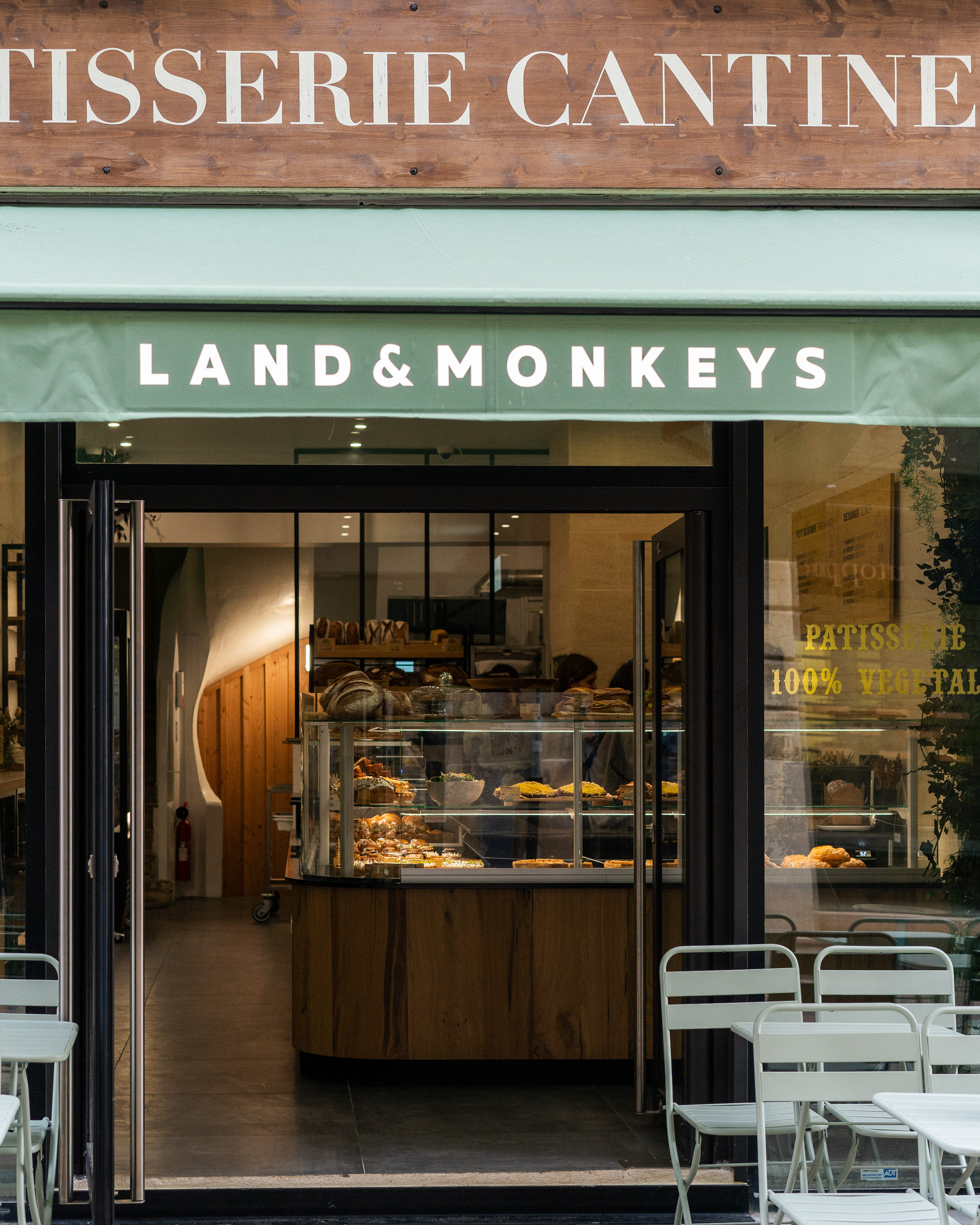 Land&Monkeys - photo 2