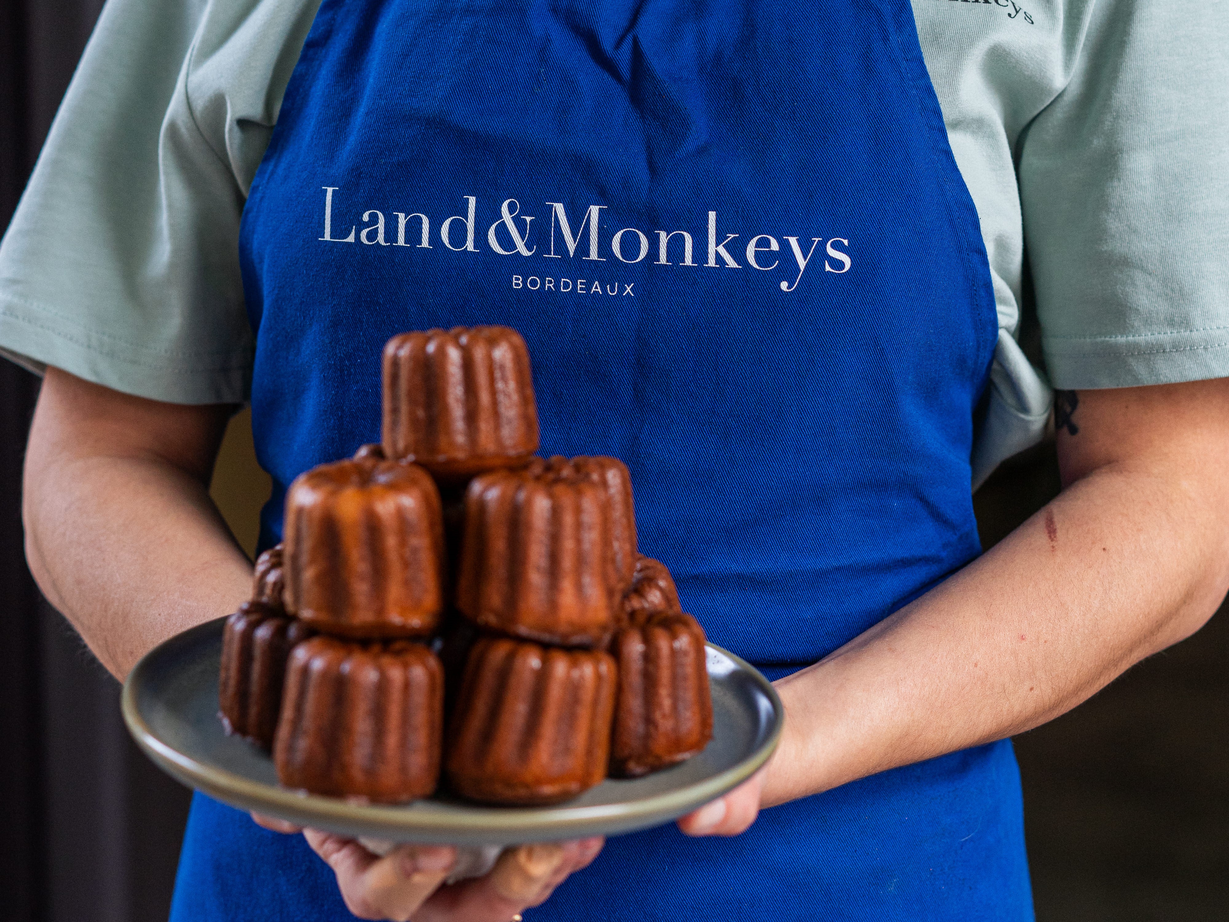 Land&Monkeys - photo 3