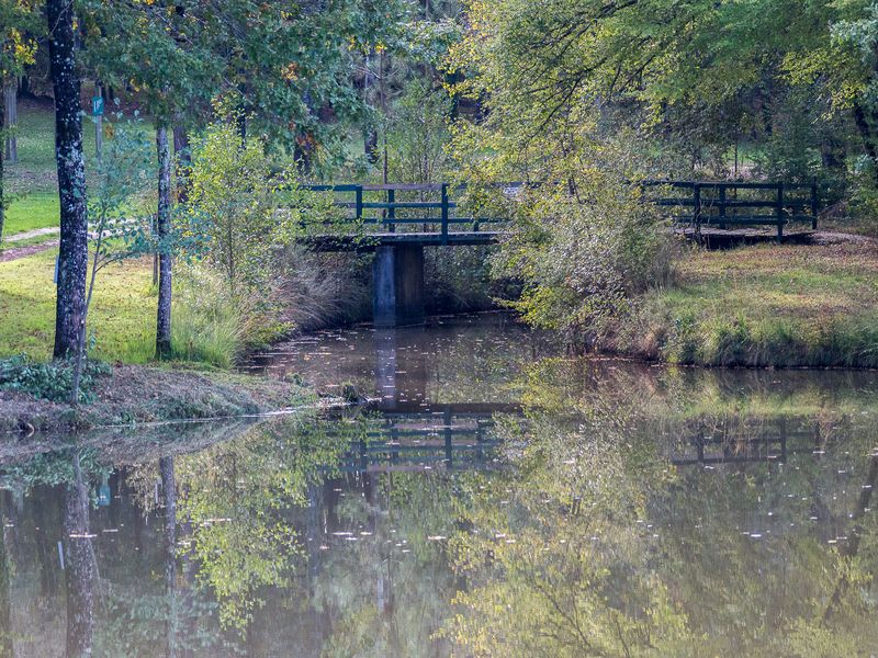 Forêt de la Double
