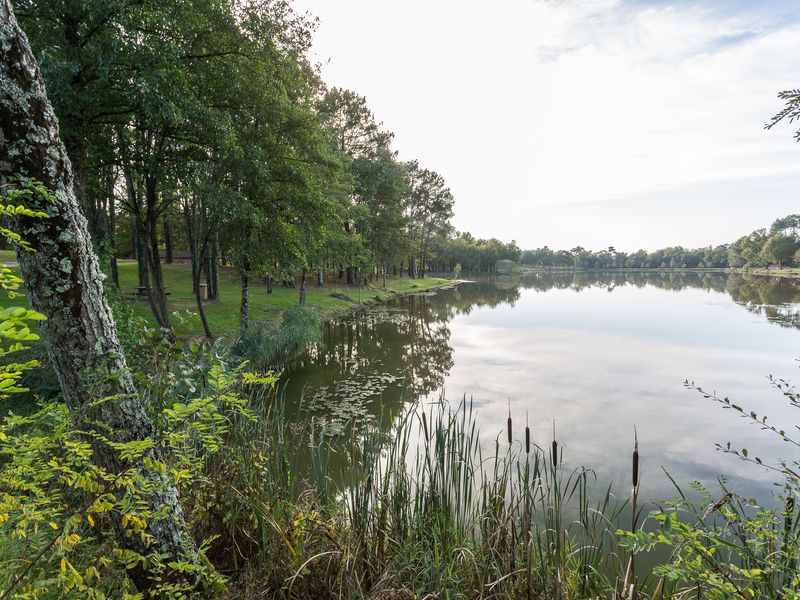 Forêt de la Double