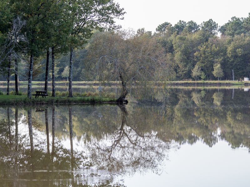 Forêt de la Double