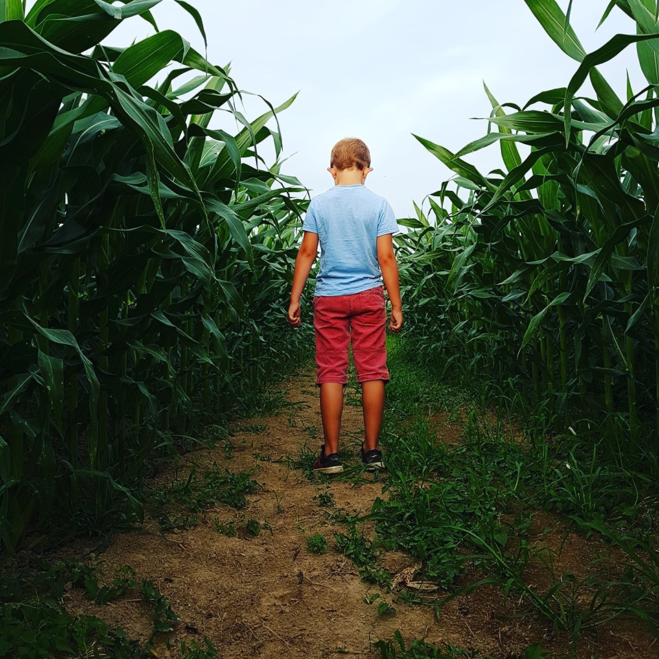 Le labyrinthe de Chalosse
