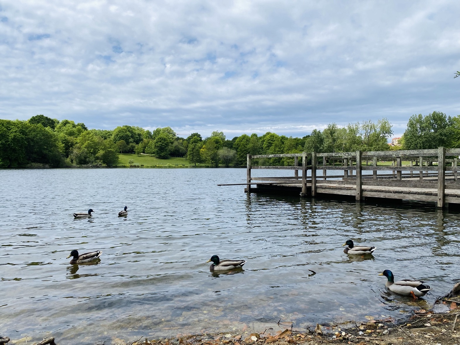 Lac Marion