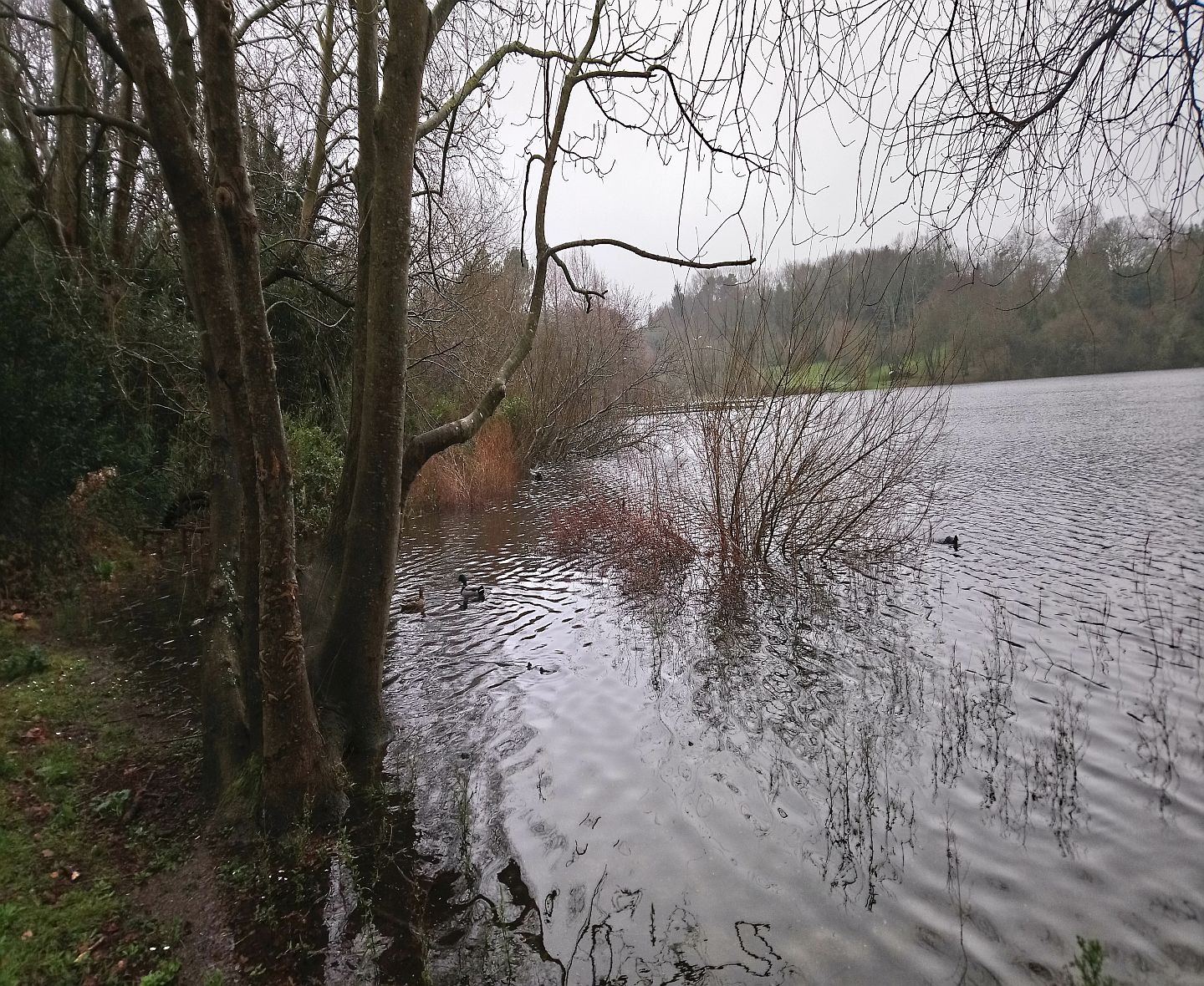 Lac Marion
