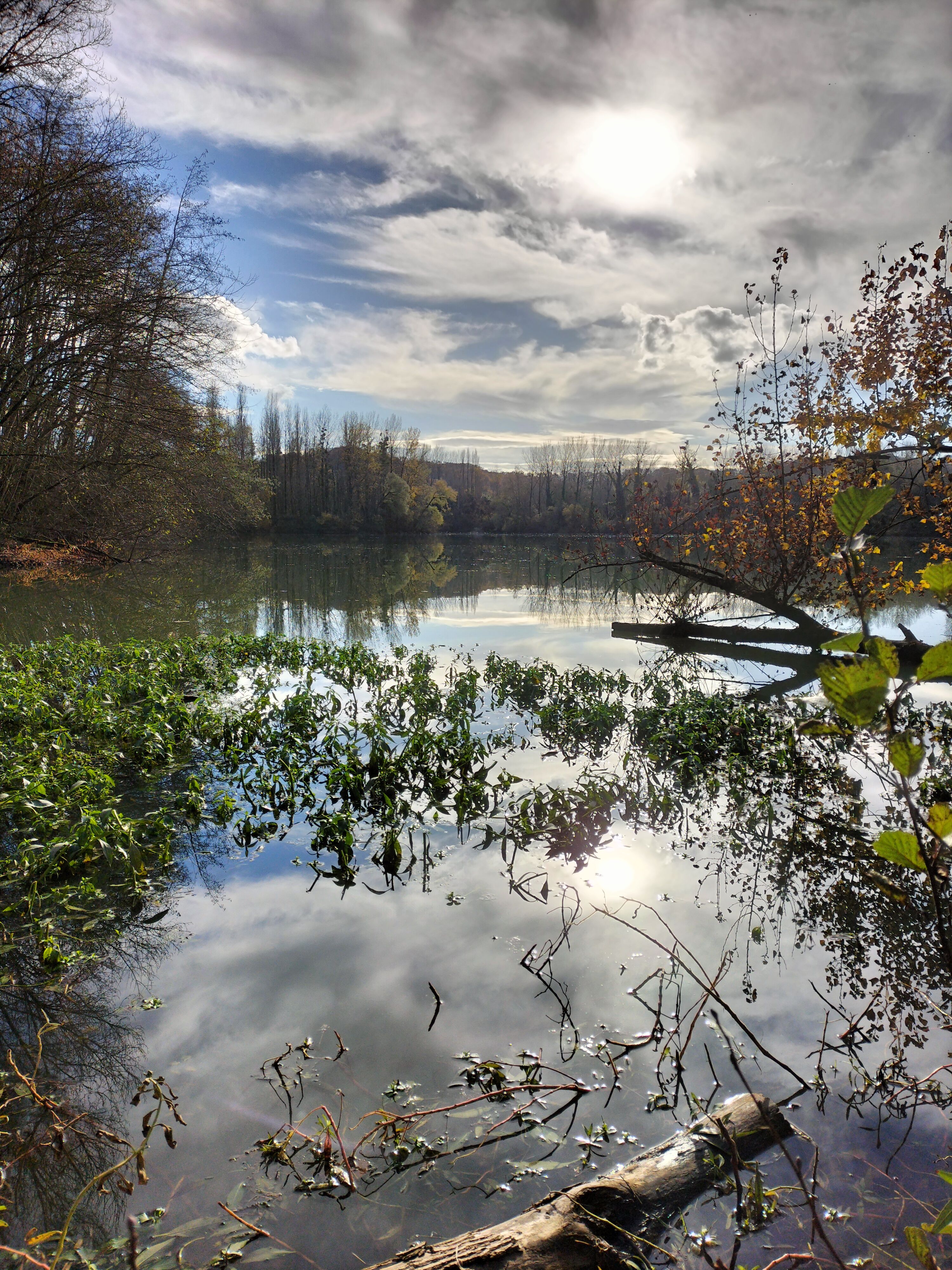 Lac de Saint Cricq du Gave