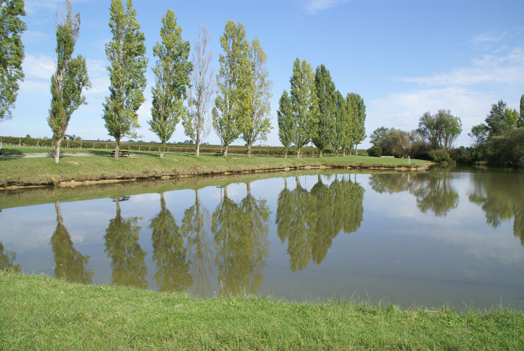 Aire de pique-nique Lac de Saint-Martial