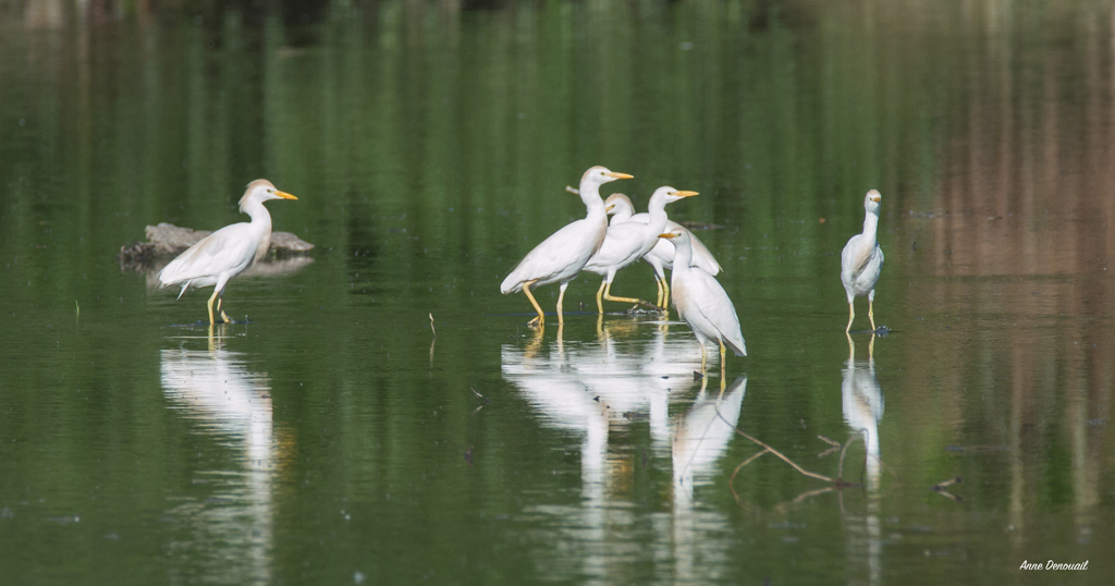 Lac de Lescourroux