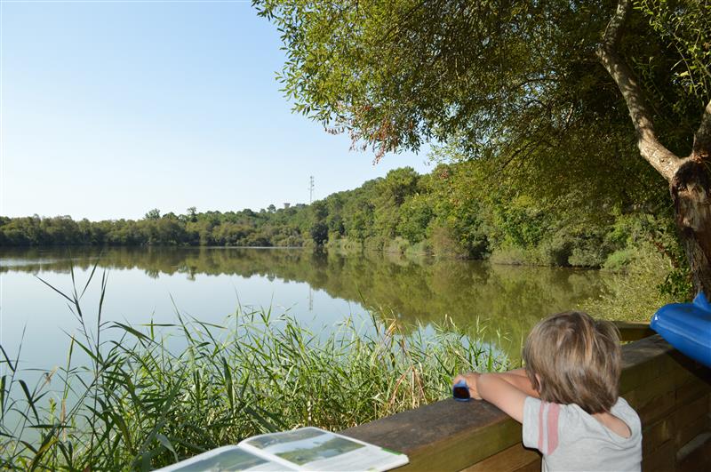 Lagune de Contaut - © Médoc Atlantique (37)