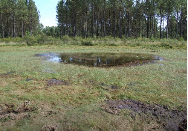 Lagunes de brocas 2