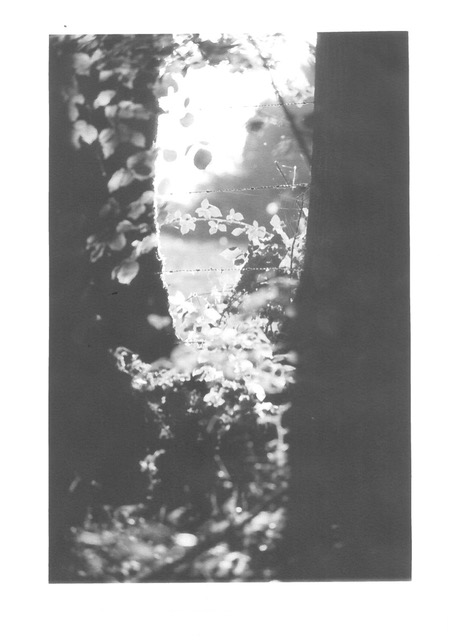 Lande interdite de Anne Isabelle Devillers